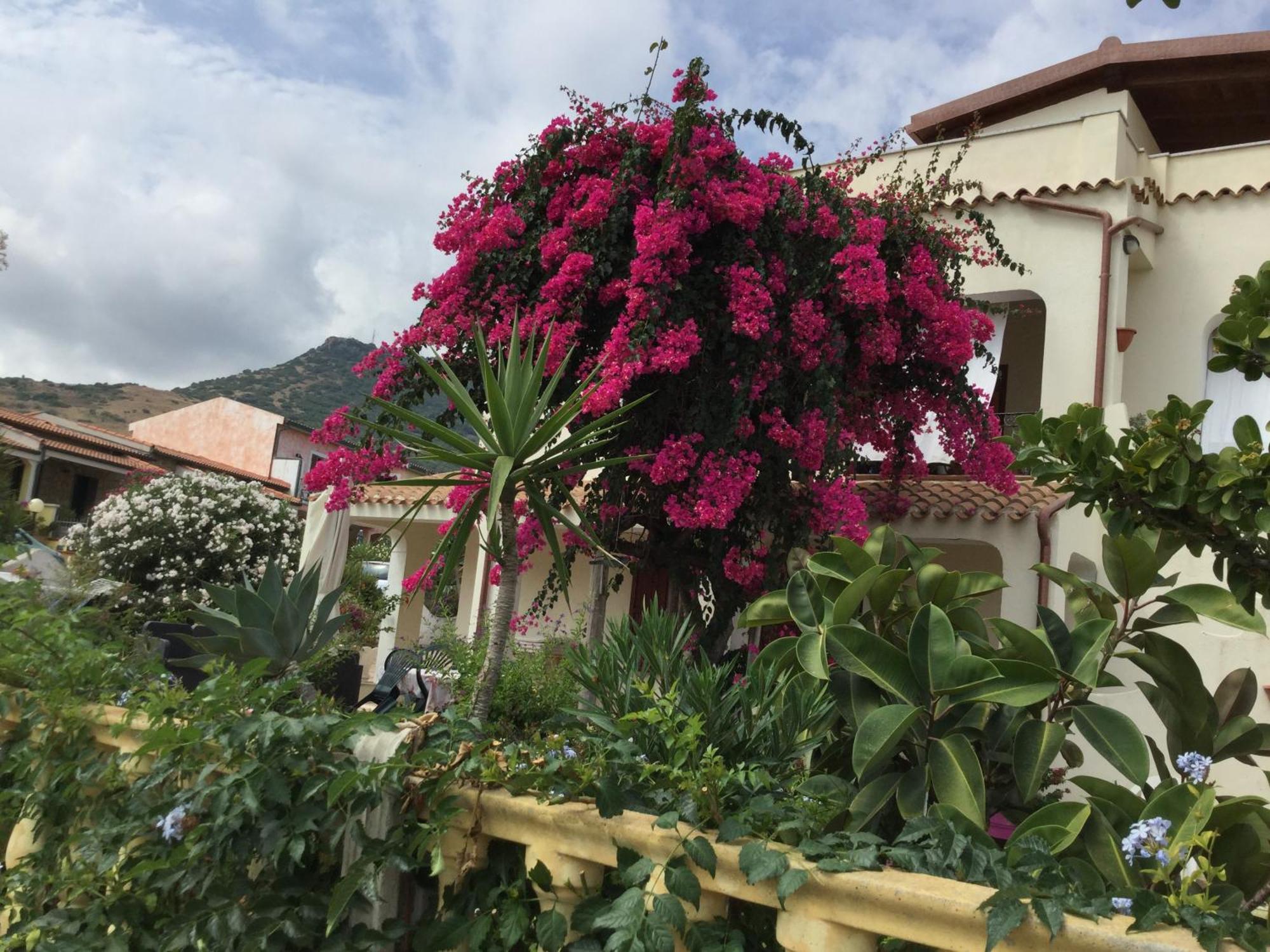 Villa Bouganville Valledoria  Exterior photo